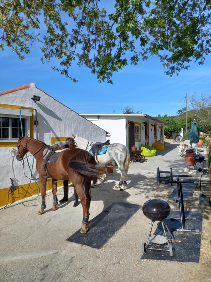 Casinha De Campo- Quintinha Dos Cavalos- Арруда-душ-Виньюш Экстерьер фото