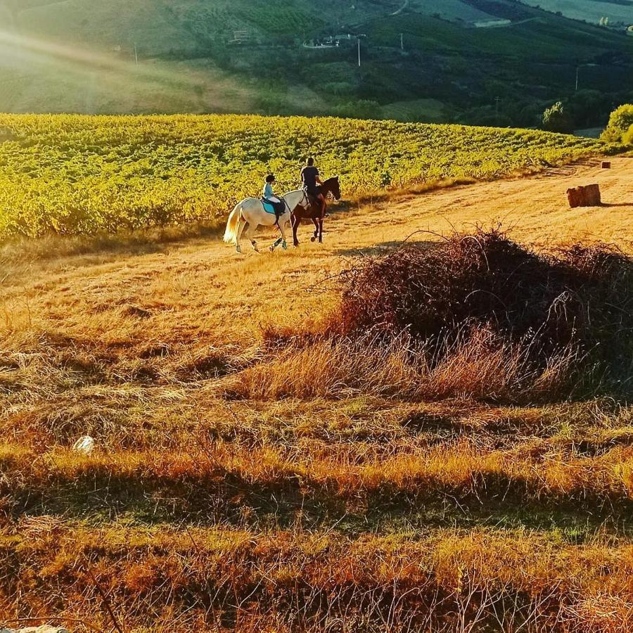 Casinha De Campo- Quintinha Dos Cavalos- Арруда-душ-Виньюш Экстерьер фото